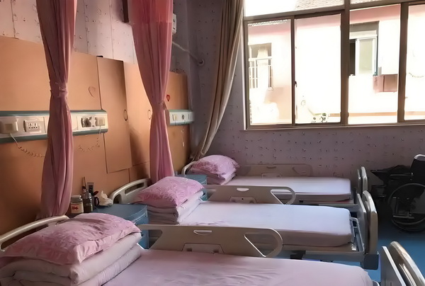 毕业生转深圳户口能得到多少钱_专访｜马伊琍：和创作者、观众“共建”那些鲜活的女性形象 把丈请到母娘门外只好